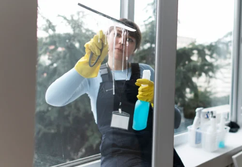 Nettoyage de vitres intérieures et extérieures à Saint-Pierre-La-Noue